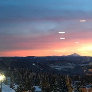 Meet your Posher, Avi